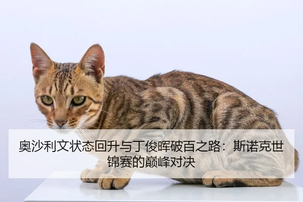 ao-sha-li-wen-zhuang-tai-hui-sheng-yu-ding-jun-hui-po-bai-zhi-lu-si-nuo-ke-shi-jin-sai-de-dian-feng-dui-jue-2-459.jpg