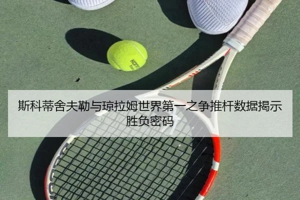 si-ke-di-she-fu-lei-yu-qiong-la-mu-shi-jie-di-yi-zhi-zheng-tui-gan-shu-ju-jie-shi-sheng-fu-mi-ma-3-510.jpg
