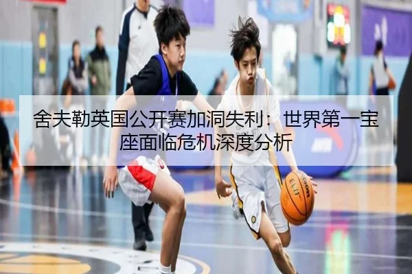 she-fu-lei-ying-guo-gong-kai-sai-jia-dong-shi-li-shi-jie-di-yi-bao-zuo-mian-lin-wei-ji-shen-du-fen-xi-2-332.jpg