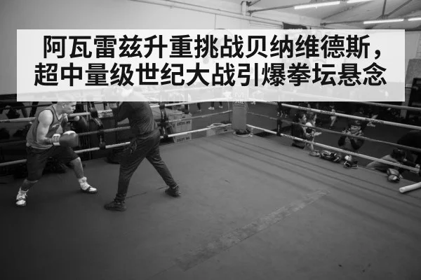 boxer training gym